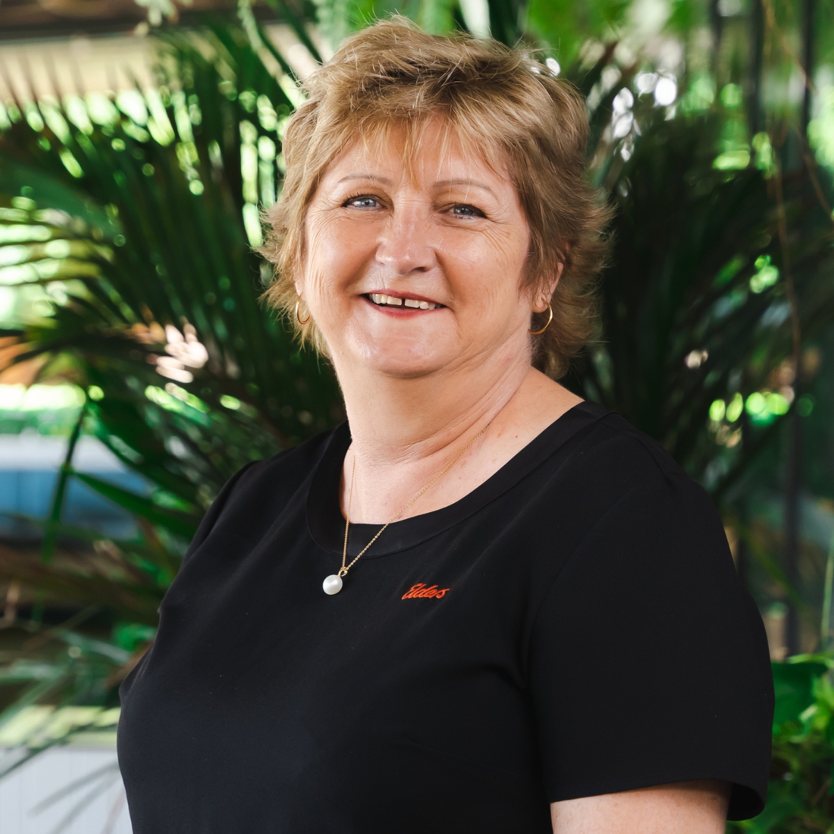 Elders Real Estate Darwin Your Local Real Estate Experts